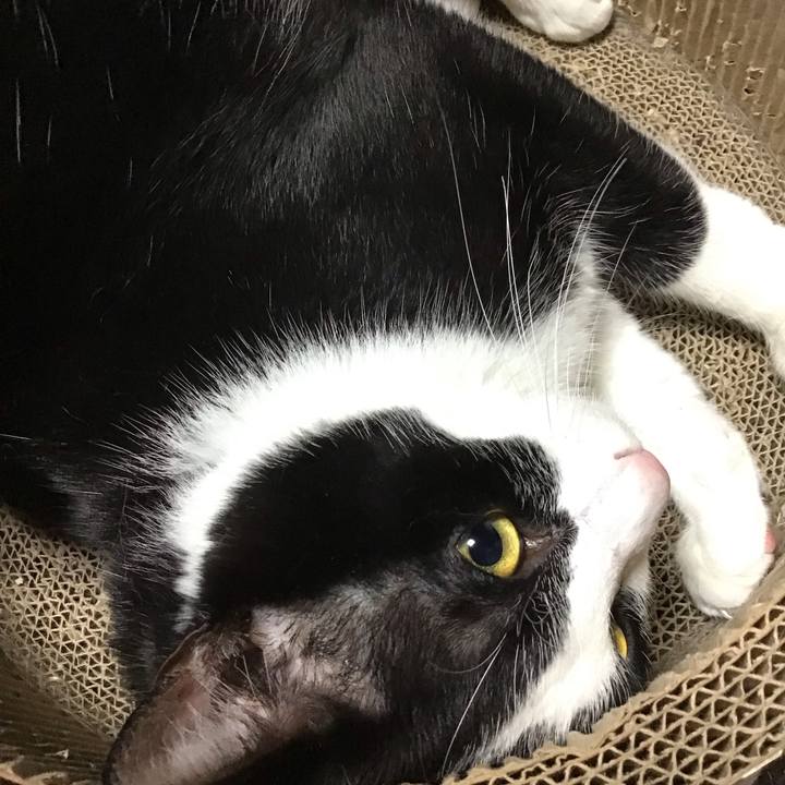 Cb5985a3 1dbc 49f8 bb3a e79ad6fe884a 1719828262020