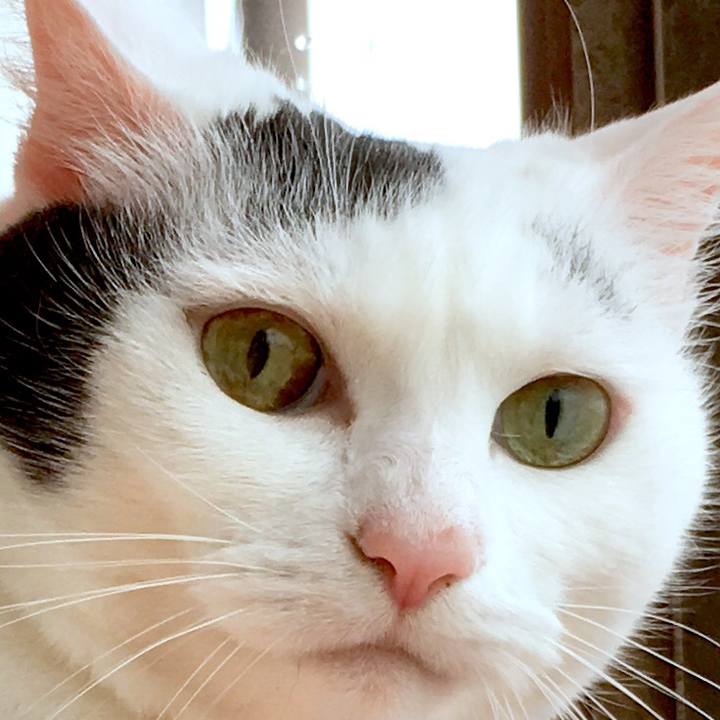 Cb59d7cb 7dd5 4646 a627 e1872d4174d5 1563613102426