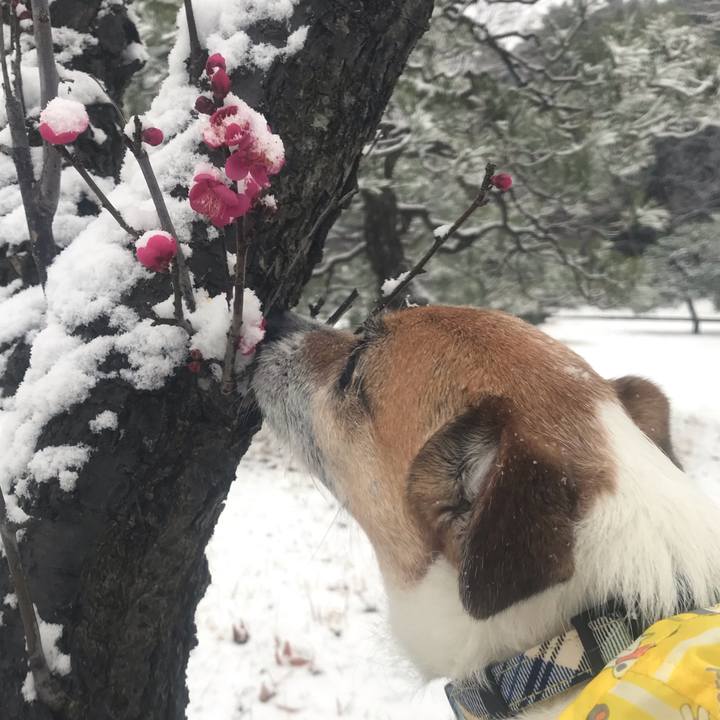 Cb5a2352 7f89 4bcb a0aa 2b3bc9828424 1549674651665