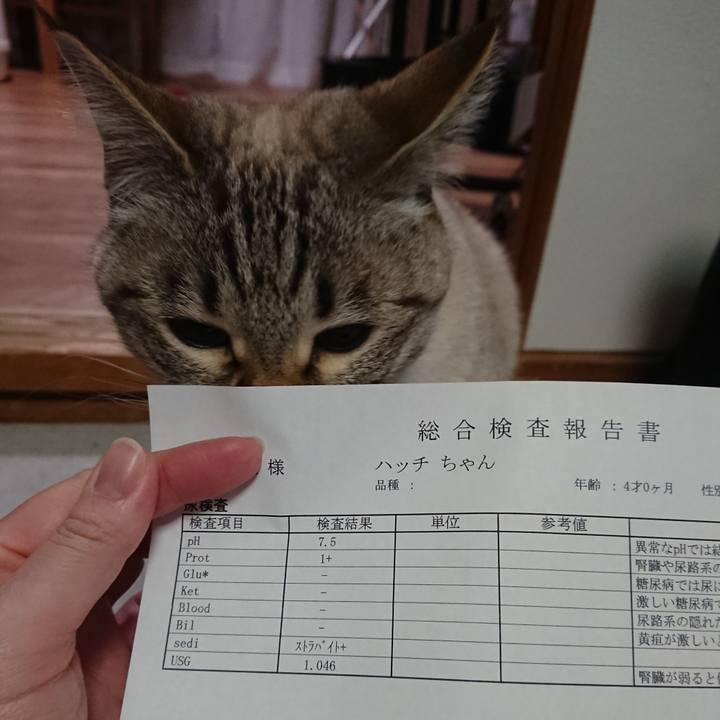 Cb5a636b 5186 4278 b331 afb8d89c0193 1583573125270