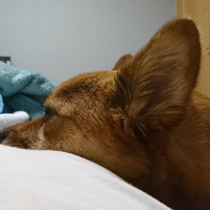 Cb5a8faf 7733 44e5 855c cd24540326dc 1529934637797