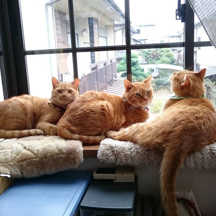 Cb5abd45 a123 4fb1 8cab b238acf1c49f 1580295076450