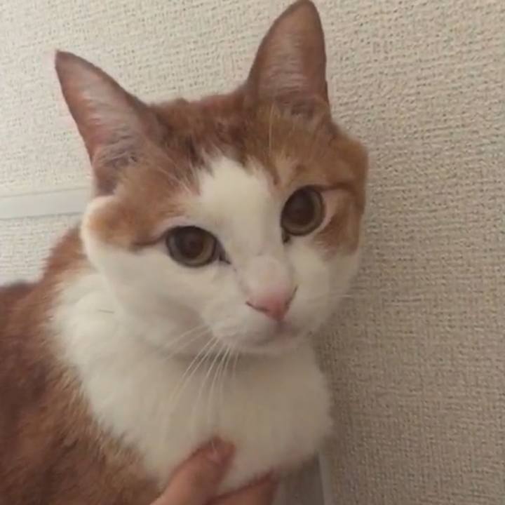 Cb5ae72f 42bc 4be4 adc5 5030d4be0170 1586731612259