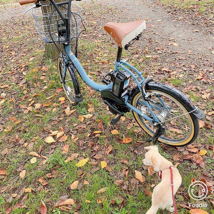 Cb5b0dc9 4581 4bfd 9e42 ba264ed9e985 1603345266893