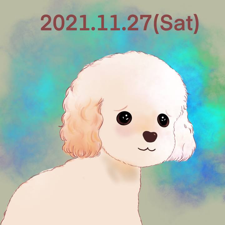 Cb5b2049 b2bc 43a3 b458 ac464d9b92da 1638012567856