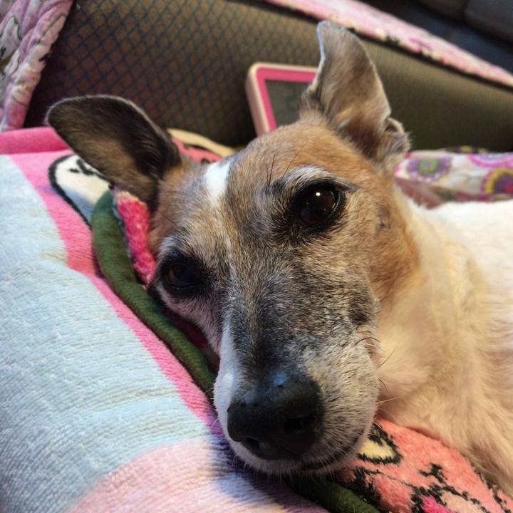 Cb5b235c 1dd2 459f bb77 0d9b9eecb890 1533806742281