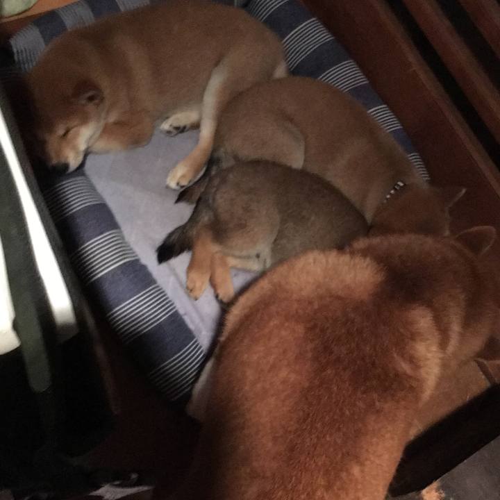 Cb5b24e9 0bfb 4cea 8359 54c1eca3daa7 1534169066180