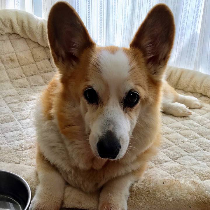 Cb5b25b6 16b2 45e5 b744 a9fd050c2228 1646360627009