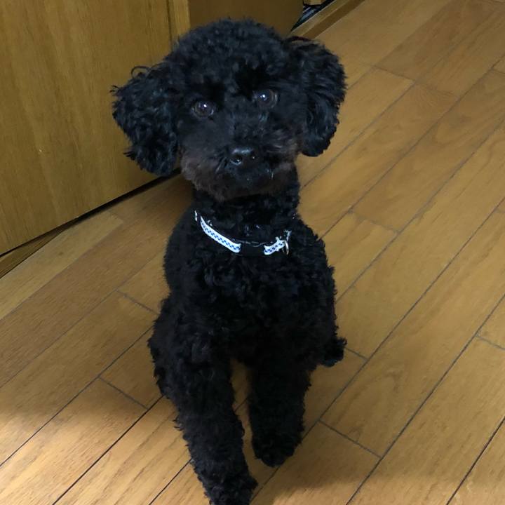 Cb5b49cf dc4c 4121 a15b dcec873b7cdf 1514372700384