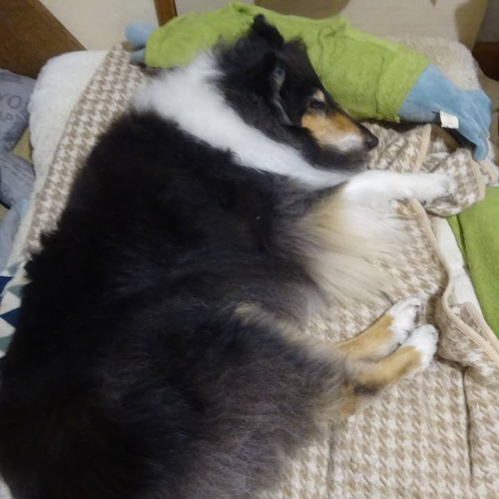 Cb5b58b4 49d3 40c2 ba12 a8bb2dafd852 1616414898629