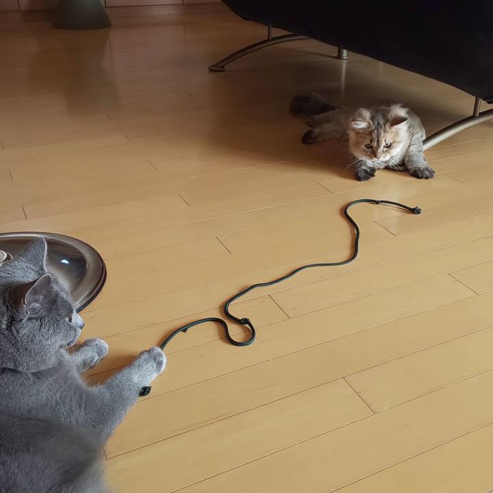 Cb5b8ce3 f363 466c 8193 1a08d81f813f 1567397885338