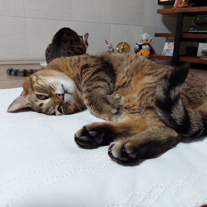 Cb5bab73 9088 4bbf 9873 8b1babfb946b 1647779646185