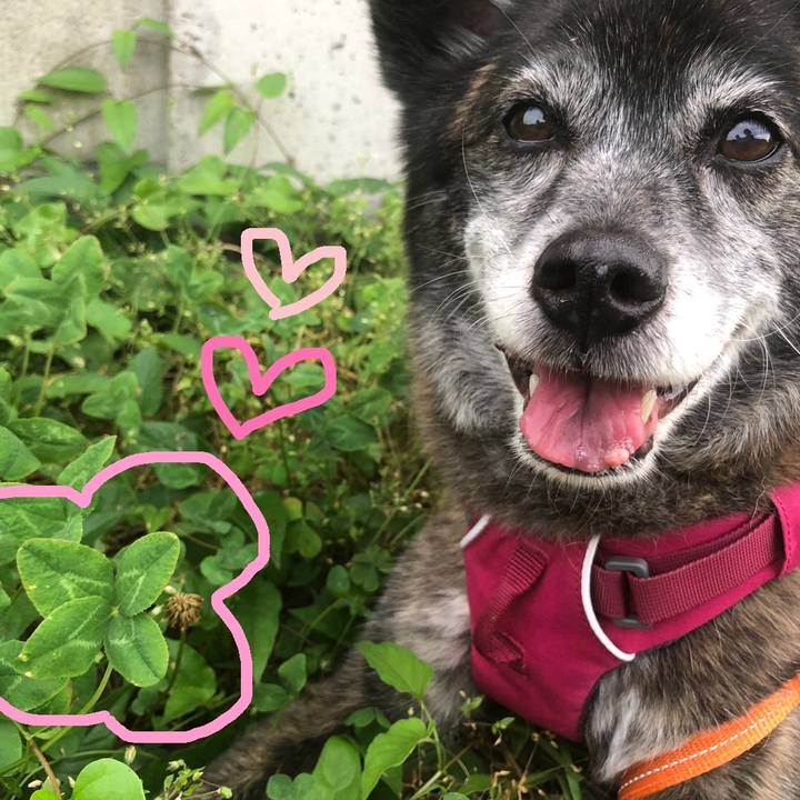 Cb5bae68 5738 4106 9804 4caaa9cdd0f8 1687607607393