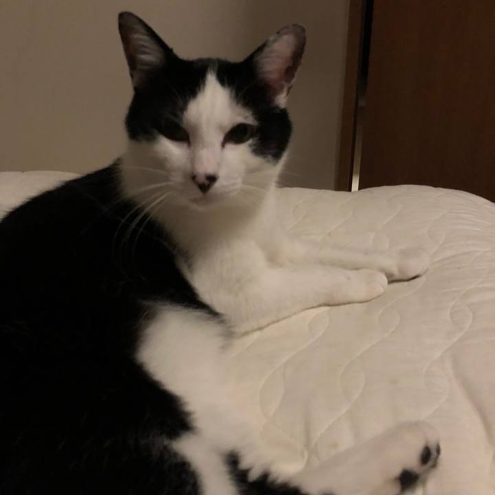 Cb5bbb4e 20be 4059 9dd7 e951c67835e9 1561227768405