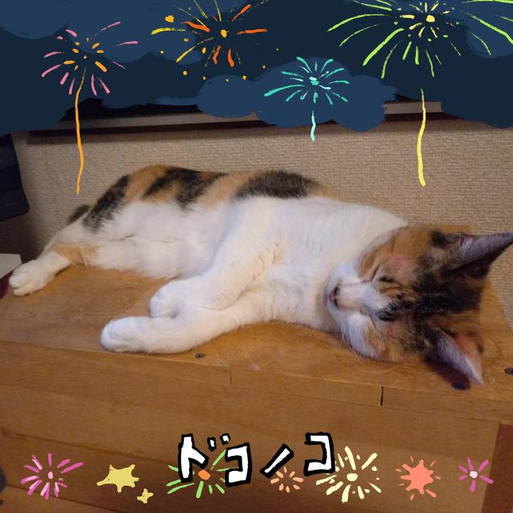 Cb5be86a 871f 41b4 a1d1 d6ca8559b7cf 1723545117347