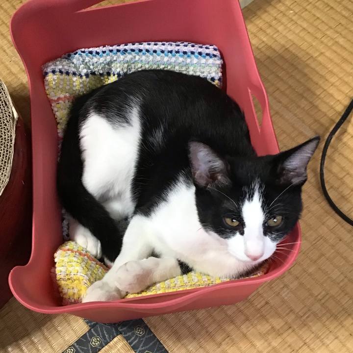 Cb5c01f5 73d2 4b92 9a01 136998b7bc85 1629788759613