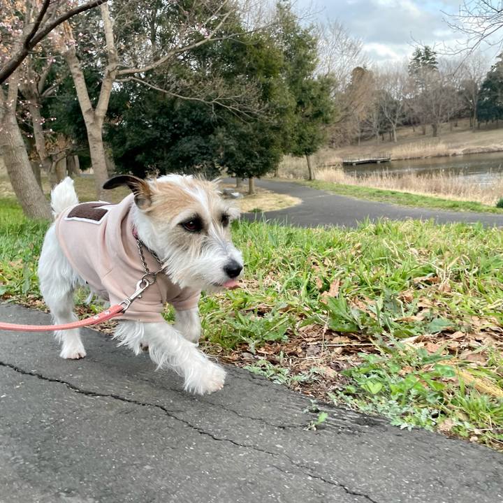 Cb5c327f 4daf 4d0b 89bb 404406ee3e67 1647419975503