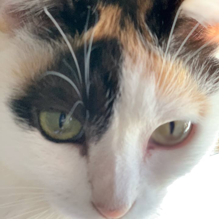 Cb5c3733 8923 4efe 8b29 2199028b3e65 1538793680537