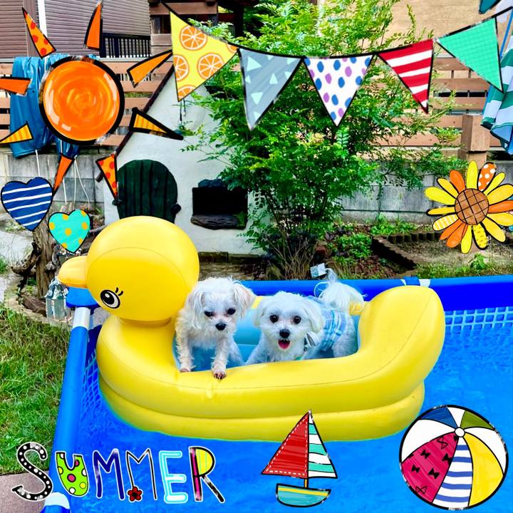 Cb5c7110 a859 48bc 9765 a3ca72ae84ee 1658383557906