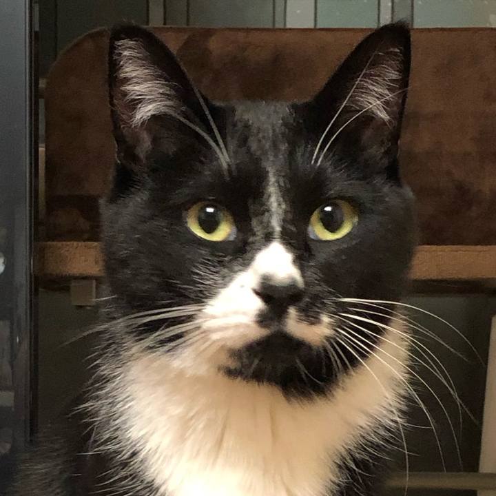 Cb5c80bf cb96 4d96 b7b4 7d93cf9e6441 1607749565714