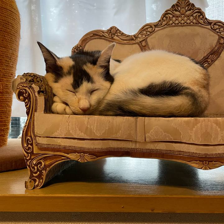 Cb5c9da9 abd1 43c8 b11c 4dbdbd534caa 1727952131391