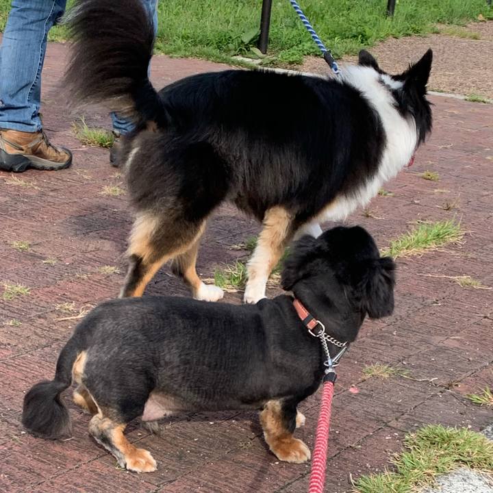 Cb5ca779 6dc8 4e87 b977 93c6e193a9a9 1600813177607