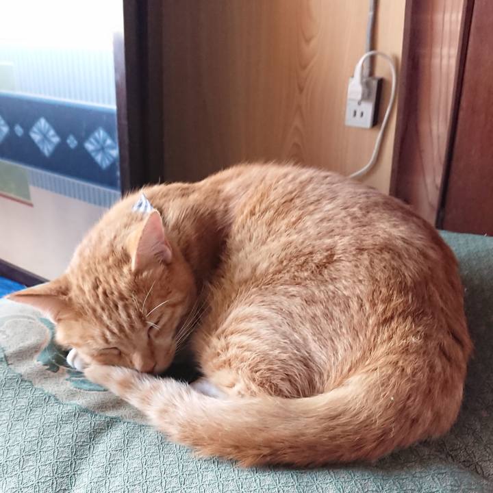 Cb5cb709 bb46 43fa b46e 5d1f55d64f91 1570951803066