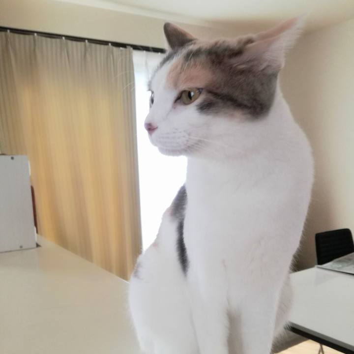 Cb5cb837 21de 4b44 af60 5ea3cb6661b8 1538459002693