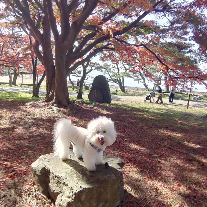 Cb5cbae8 b9d7 4ab7 87db 439892080d46 1764474599045