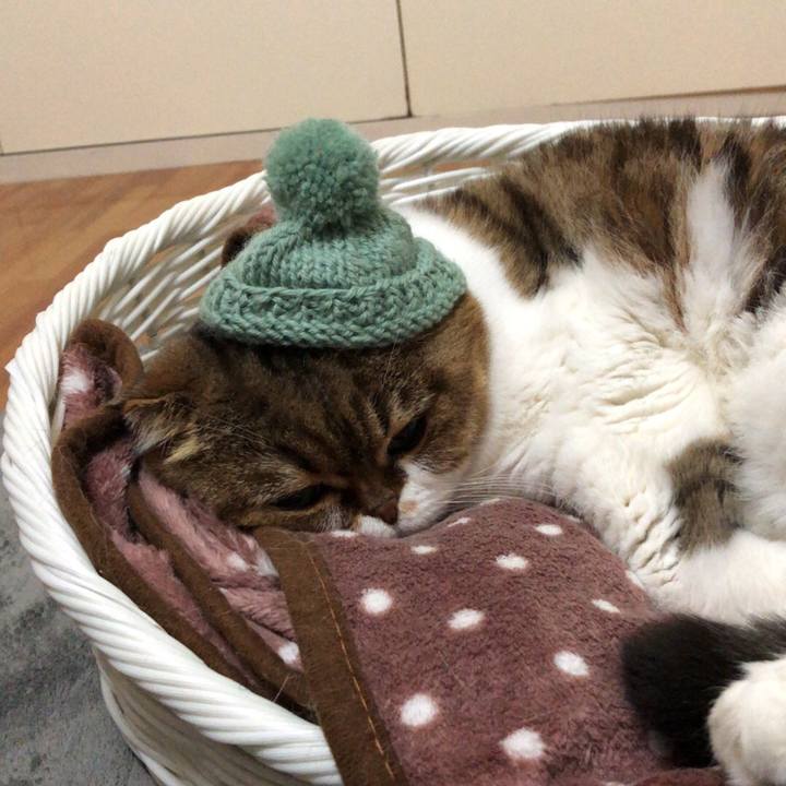 Cb5cd2b6 e01b 48f6 922c 2cb3cfbcc288 1542526894063