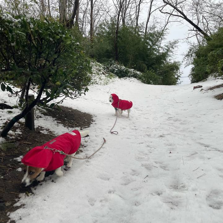 Cb5ce894 b511 4ff3 be40 a2064a8c5855 1671407756585