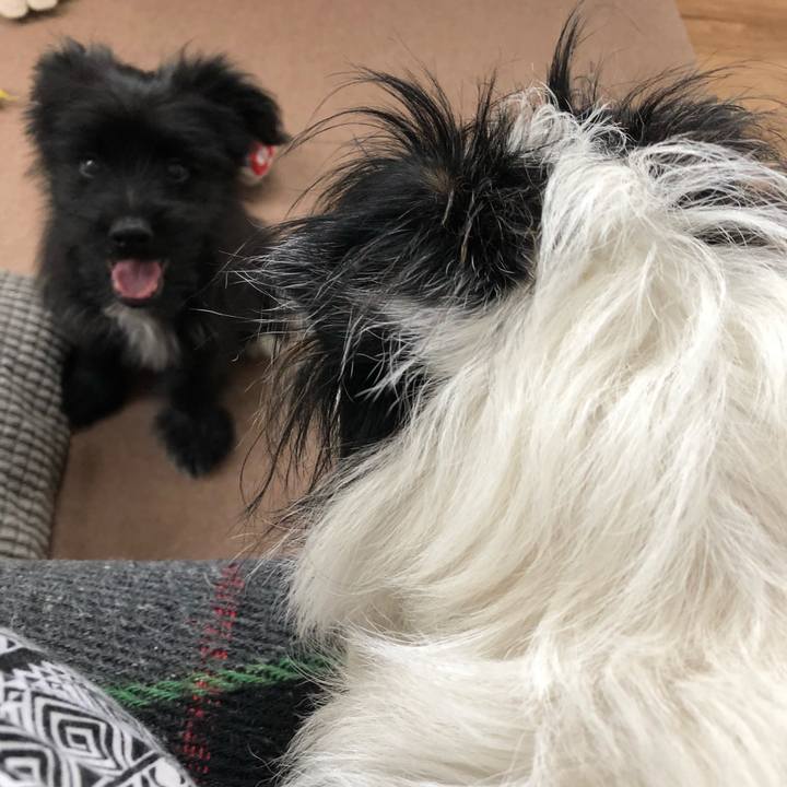 Cb5ce8a1 c114 4802 8efa 6a7876e480f9 1530262371173