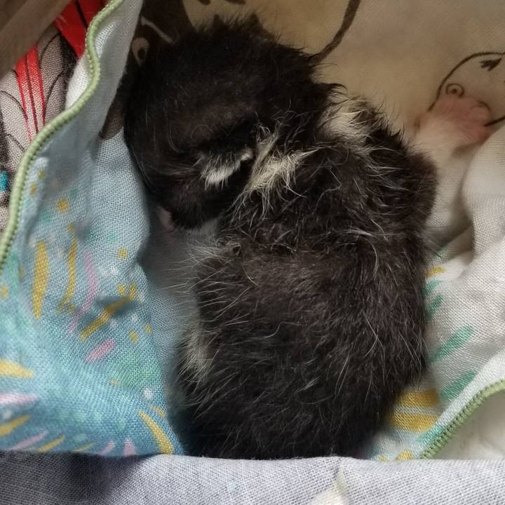 Cb5cfe42 4b7b 43d8 bef7 fa12e581bc9d 1687358548776