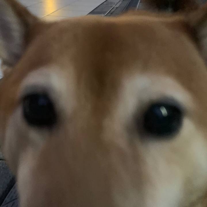 Cb5d4ad5 e5df 411e befd 5c119cb32d8c 1570699489621