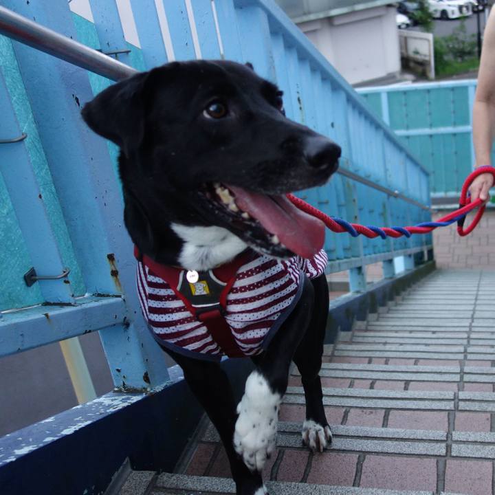 Cb5d53f6 48b3 4f5d 8ce1 4a14887fa5dd 1594549426102