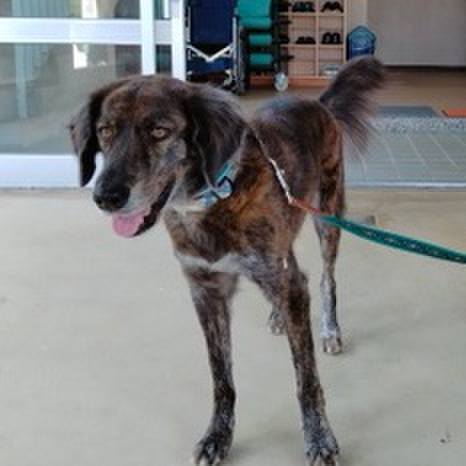 Cb5d8931 bc90 42c2 9ddd 3c091953ded9 1637118848649