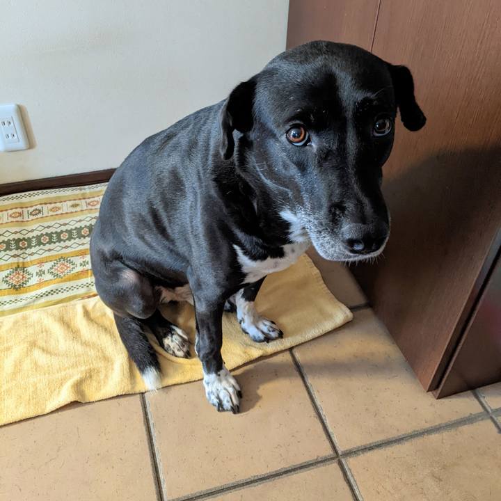 Cb5dd83e 482a 4a2f b9bc 9980cb887cbc 1658141858304