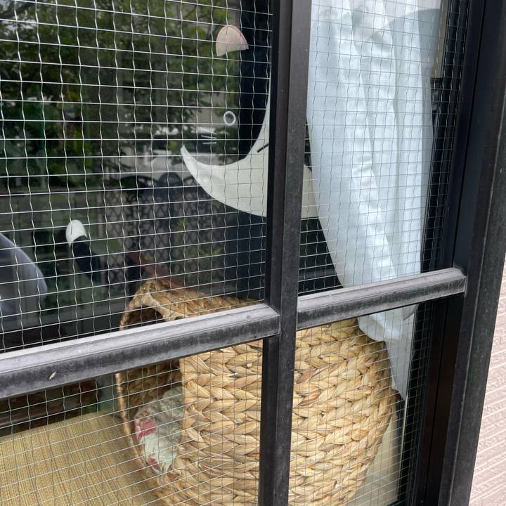 Cb5e0909 63ce 4594 95be f7f2bf567e72 1654654280350