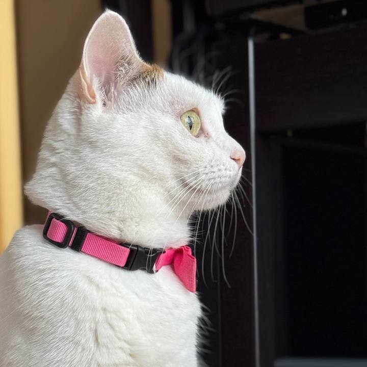 Cb5e0c6b 57fe 42b6 974b fb4bdeae6c1d 1763293664804