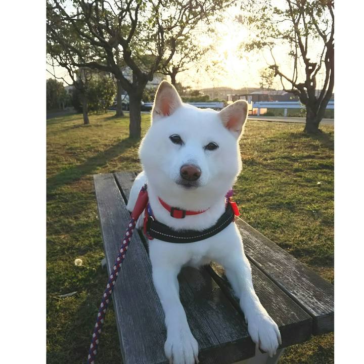 Cb5e2a6f 0440 4a10 873b ae301f58d30b 1620033093032