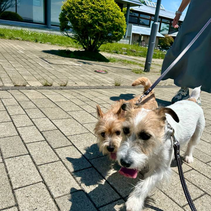 Cb5e456a 3ff3 4281 aa94 3e0780be9a6b 1717305733567