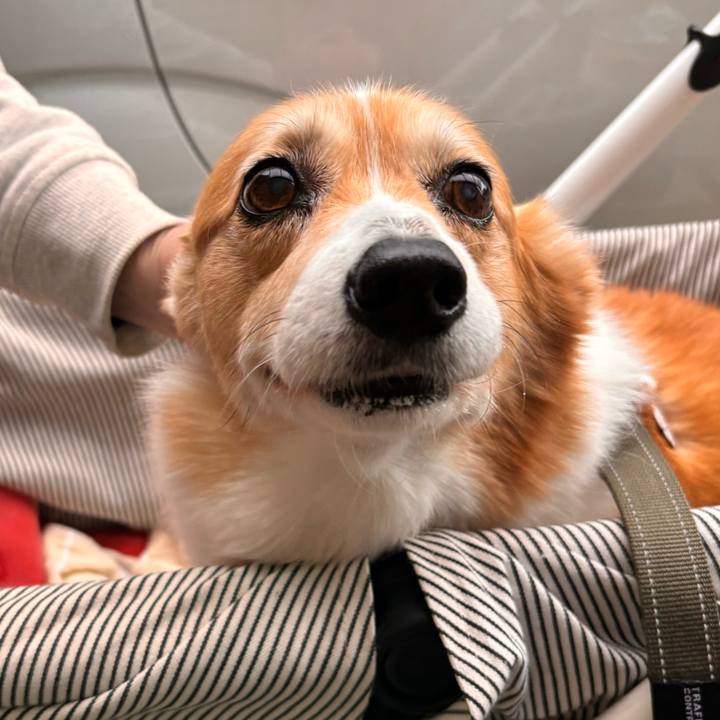 Cb5e4ac7 c461 471c bd7a e22016efa633 1773820619603