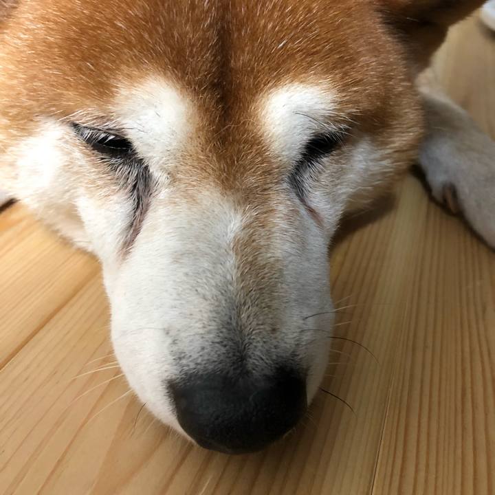 Cb5e5fdc a94f 4b2f 947d f869e504f087 1538971134528