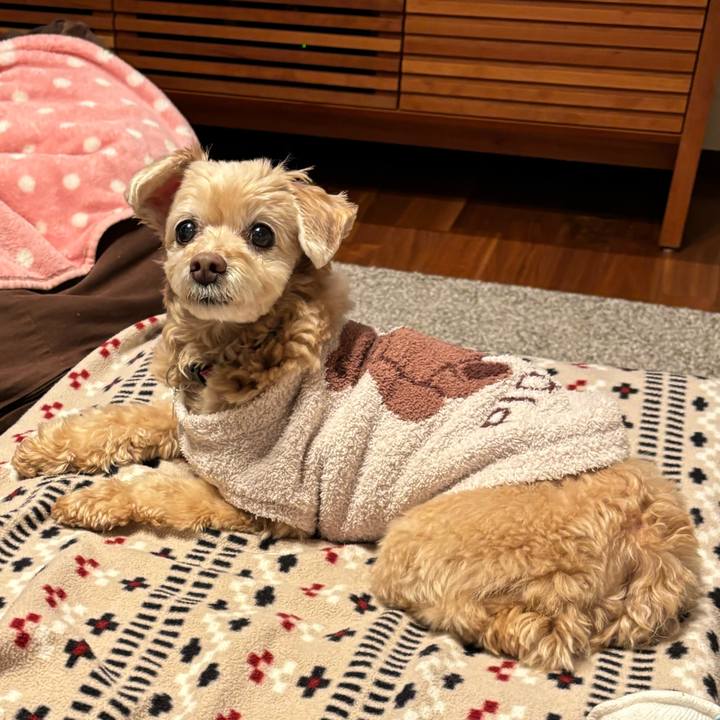 Cb5e6988 7251 4ef5 9a35 3022e3d7a9e5 1707565075672