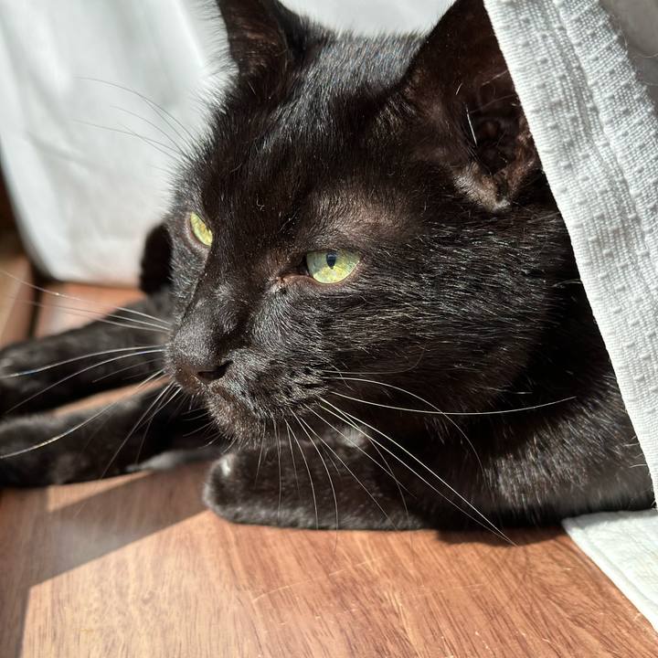 Cb5e77db 7b35 40e3 8279 bcbb8fb2b979 1679708825466