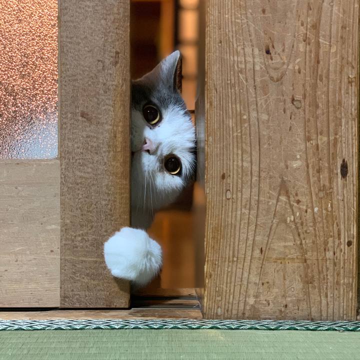 Cb5ea55b b7ee 4bda b15a b49baa070ff0 1667304417479