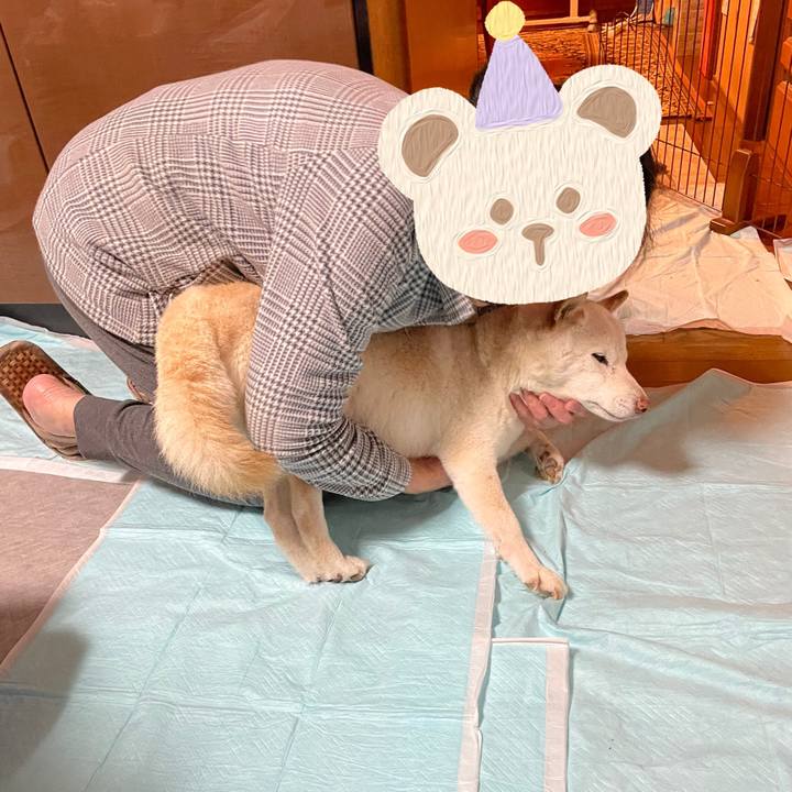 Cb5edd12 e809 4f92 8175 b16f3b730d63 1636773065552