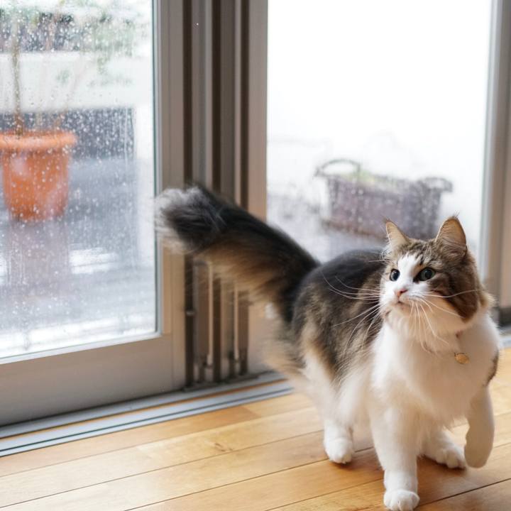 Cb5eef2a 6397 45bc 9053 d50e7081f54b 1571715547028