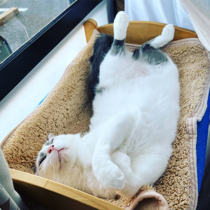 Cb5ef270 748e 4aca 863f 54fad939a7db 1651775258938