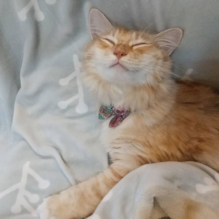 Cb5f0d69 8191 4446 9ca0 a18bd84e7946 1635313243248